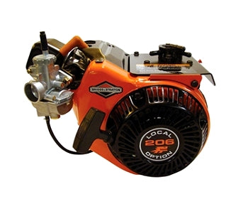 Briggs and Stratton 206 Engine