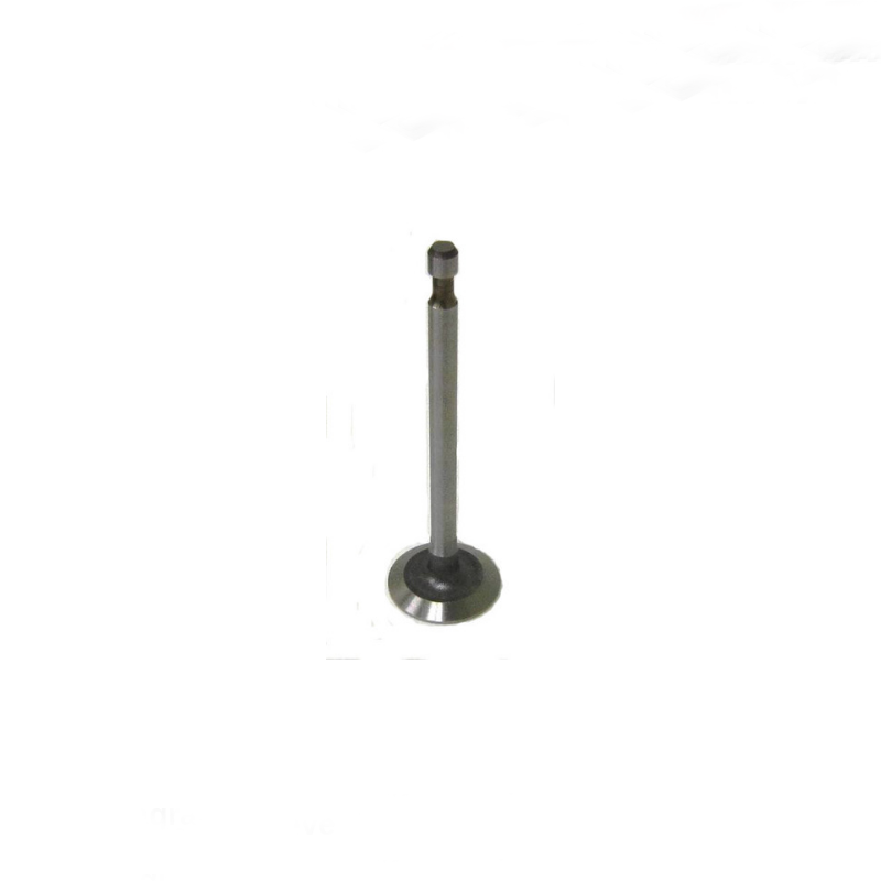 Intake Valve for Briggs 206