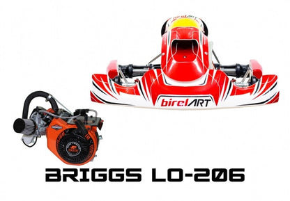 2024 AM29-S16 with Briggs LO-206