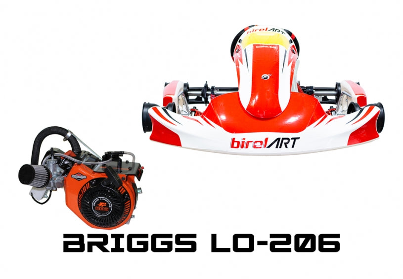 2024 C28-S16 Mini with Briggs LO-206
