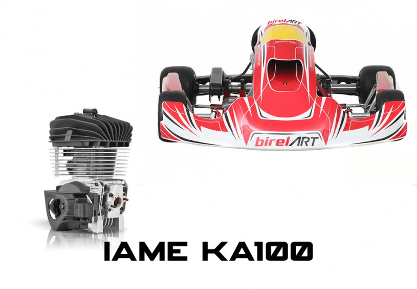 2024 RY30-S16 KF-TAG with IAME KA100